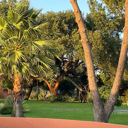 Casa Do Sobro Villa Santo Estevao  Екстериор снимка