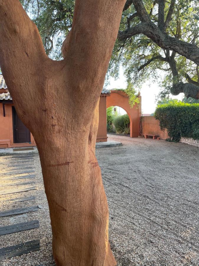 Casa Do Sobro Villa Santo Estevao  Екстериор снимка